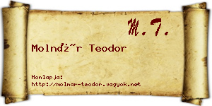 Molnár Teodor névjegykártya