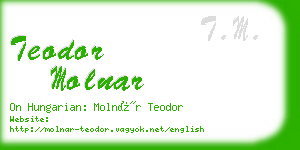 teodor molnar business card